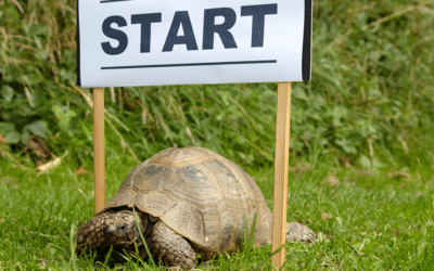 When does the Tortoise beat the Hare in Value Investing?