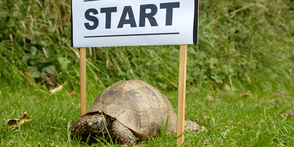 When does the Tortoise beat the Hare in Value Investing?